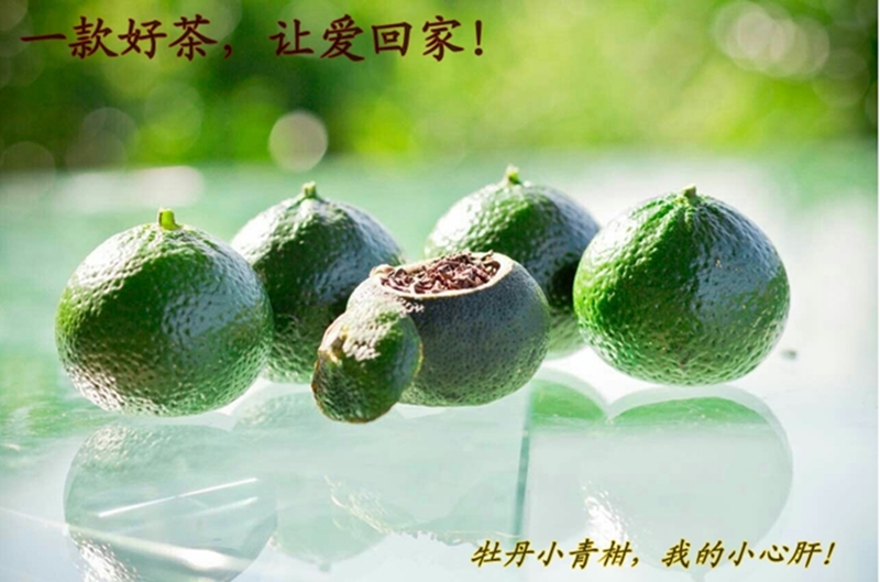 小青，你还好吗（之五）