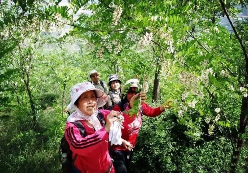 1503803847.jpg 2.jpg