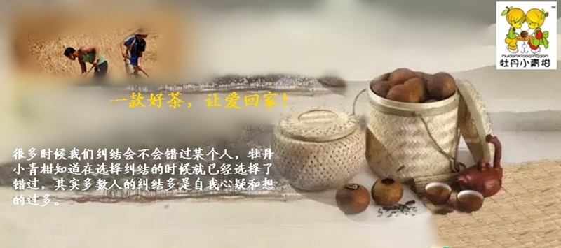 牡丹小青柑品牌物语