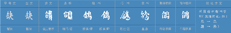 “鸽”字的演变.jpg