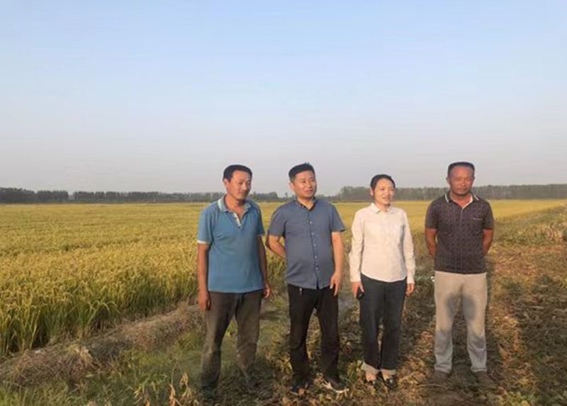 老堤北米线的前世今朝